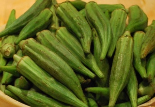 الباميـا زراعة وانتاج Okra1110