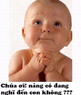 Không có bài viết mới