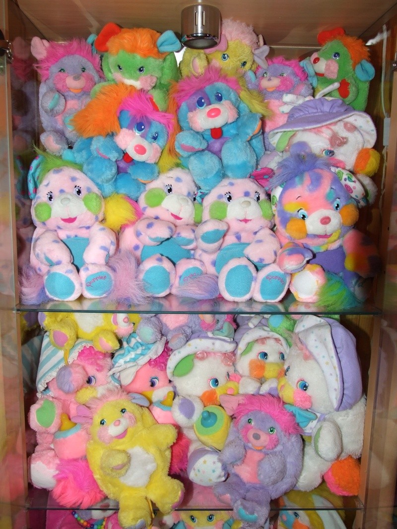 [Collection Membre]    Bisounours Popples.  - Page 3 Dscf7048