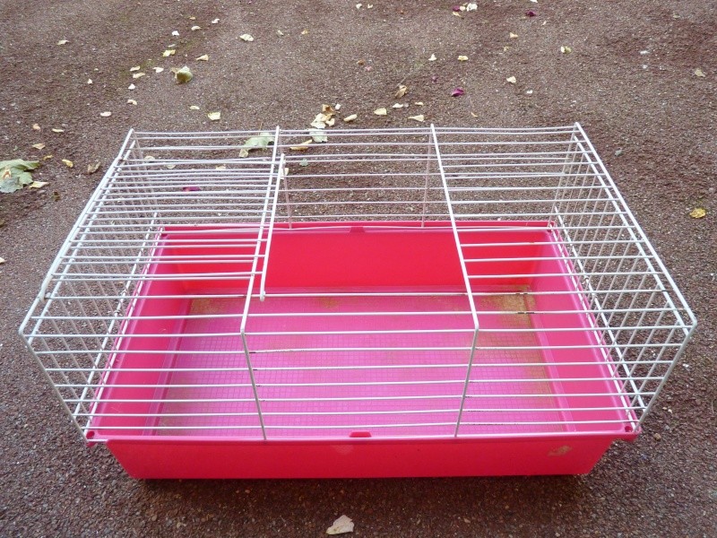 A VENDRE cage pour cochon d'inde et cage pour souris/hamster P1020224
