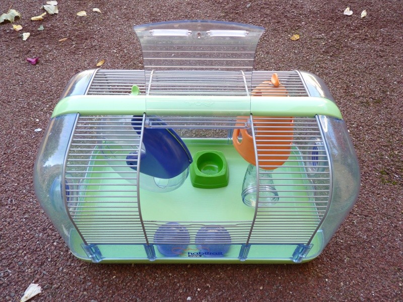 A VENDRE cage pour cochon d'inde et cage pour souris/hamster P1020226