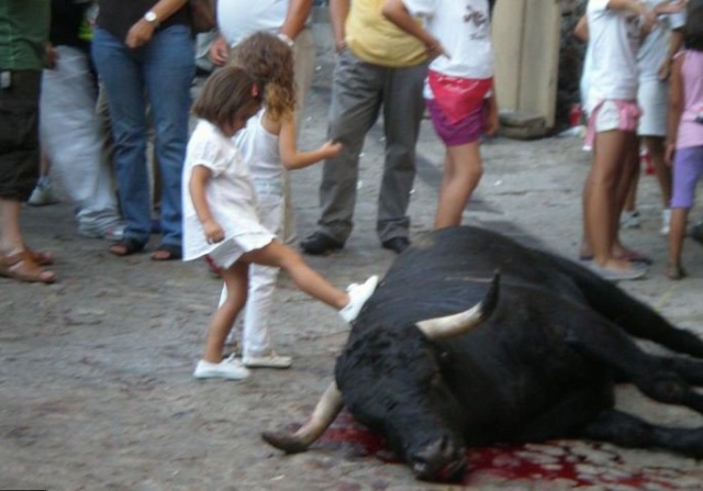 NON, la tauromachie n'a rien à voir avec la CULTURE !!!!!! - Page 3 Corrid11