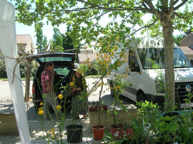 "Trocoplant" à Cabrières ( Gard ) 04410