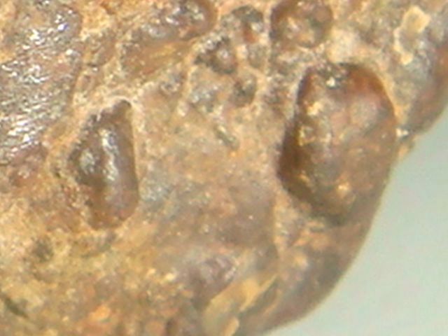 Identification chondrite . Dsc07811