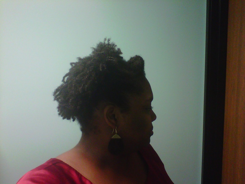 SheeTacular's Hair Journey - Slide show! - Page 29 Img00318