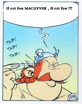 Pour les vacances Obelix10