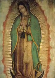 Miracle + Santa Maria de Guadalupe Moule110