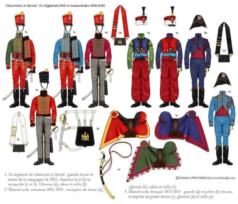 les uniformes des Régiments prestigieux de l' Empire 2ame_r11