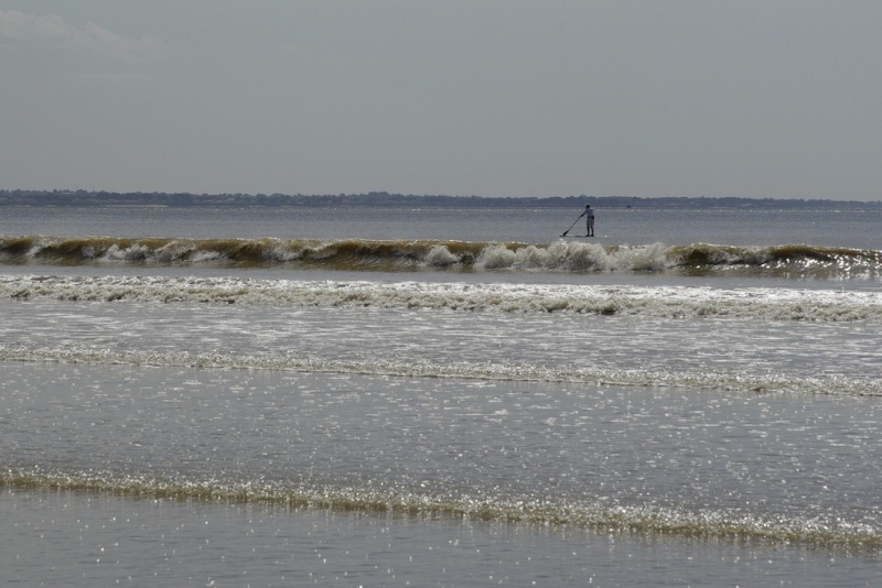 SUPer balades en Loire Atlantique _igp9714