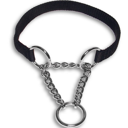 Quel(s) collier(s) pour votre chien? - Page 5 Collie13