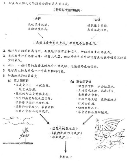 四年级科学笔记（五） Snt42310