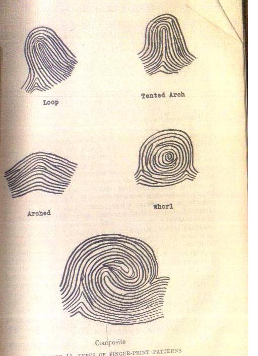 Psychological and diagnostic significance of finger prints Finger11