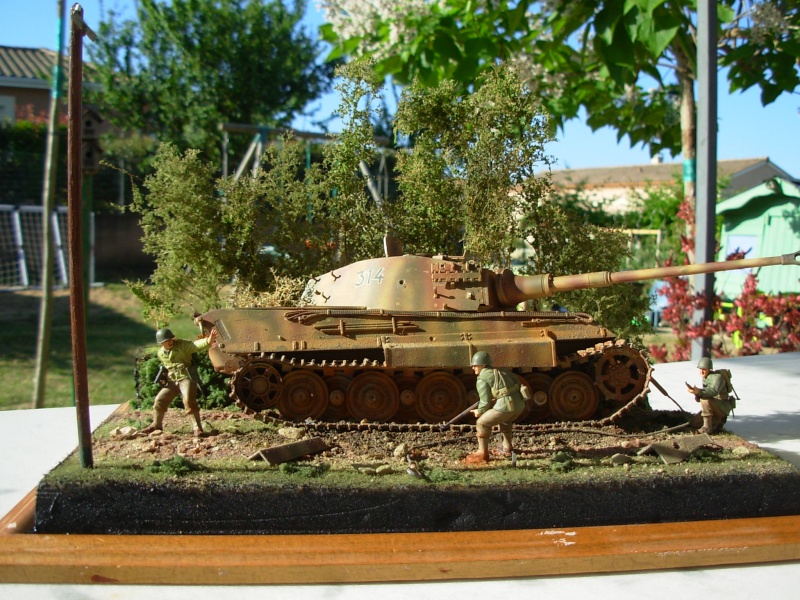 abandon tigre II (tigre dragon 1/35eme) Dscn1725