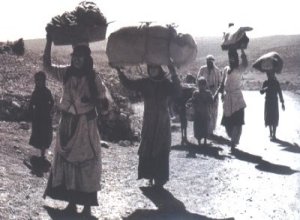 اللاجئون الفلسطينيون.. Ref_1911