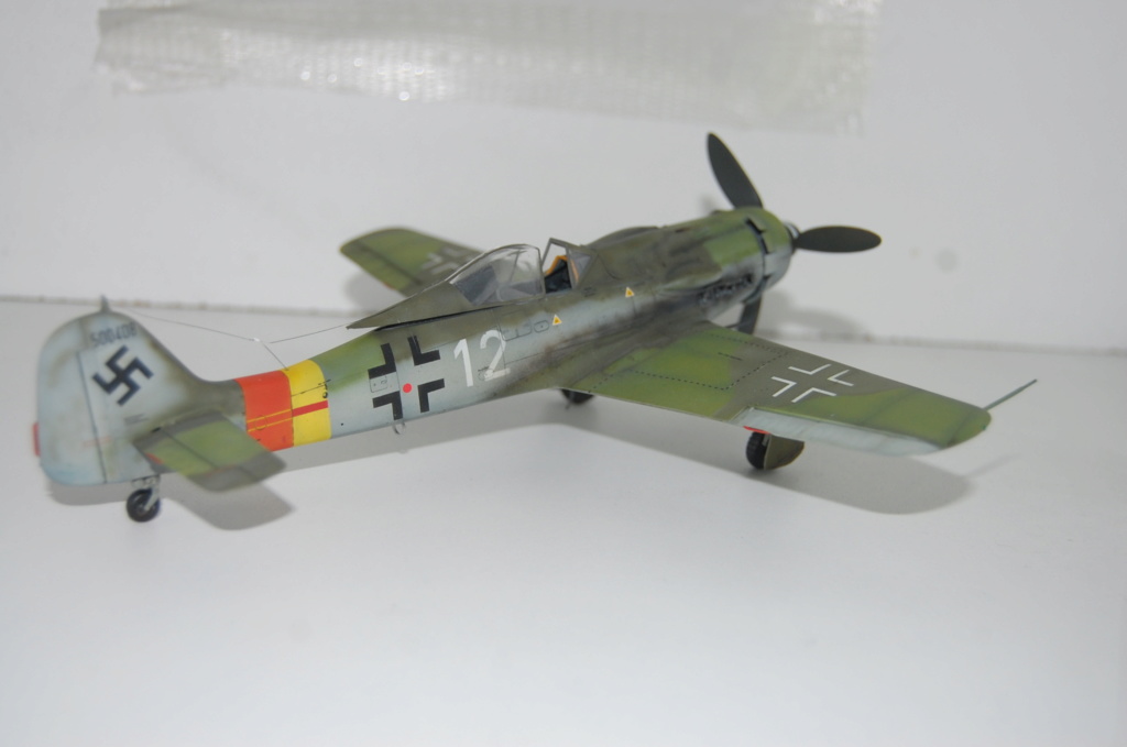 Fw-190 D 9 Tamiya 1/48 Dsc_5521