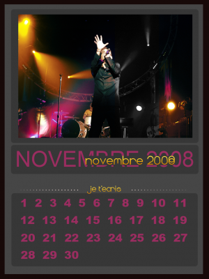 Calendriers 2008 21045814