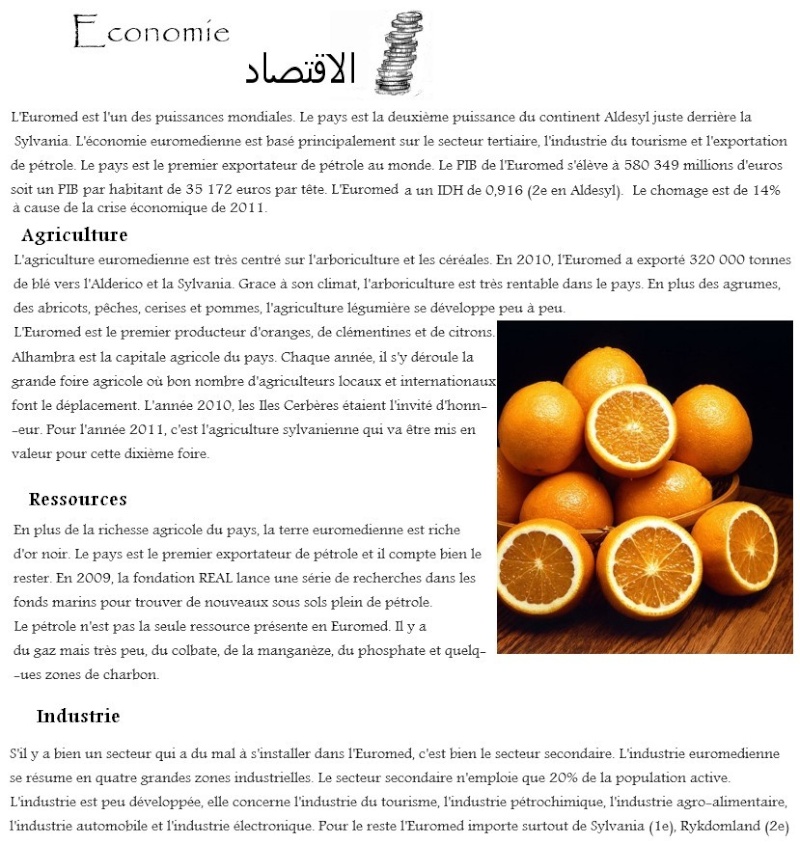 l'Euromed - ال ورومد Eurowi24