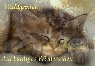 Waldgeister Katze110