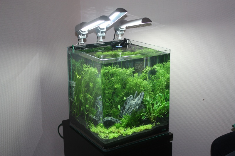 Nano cube 60L ou fluval edge 45L  Img_4810