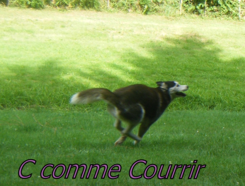 Les votes du concours "C comme .." 2010_w10