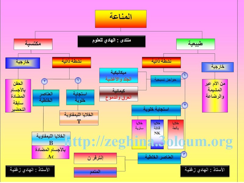  مخطط عام لأنواع المناعة Azzz10