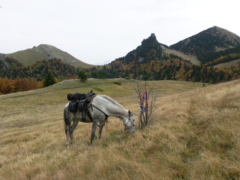 2 jours sur les hauts plateaux du vercors  Photo010