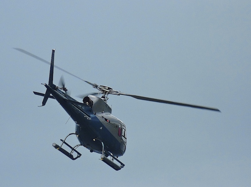 Série hélicoptères en vol P1070110