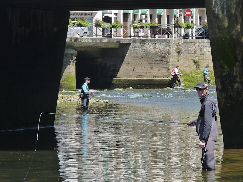 Photo-reportage : Quimper à la pêche P1120534