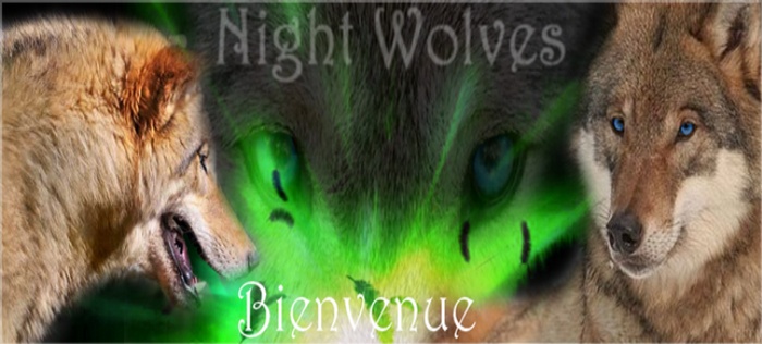 Concours de themes pour Night Wolves ! Night_10
