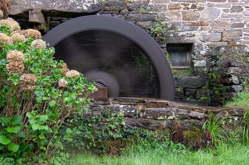 Le moulin de Chef-du-Bois Dsc_1418