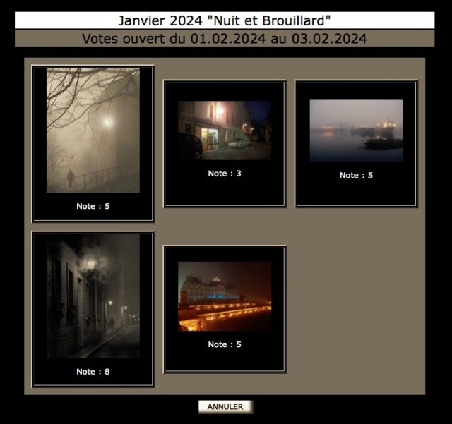 Concours photo "Nuit et Brouillard" Janvier 2024 - Page 2 Sans_t25