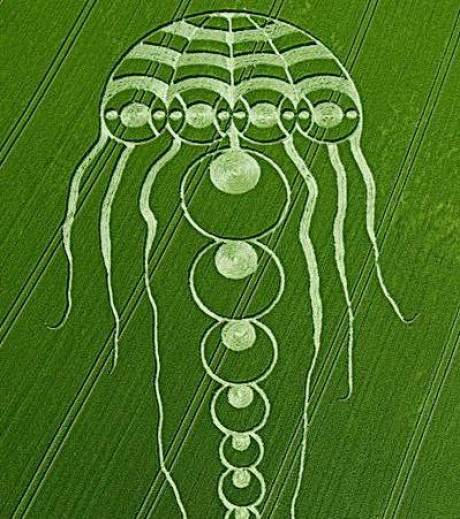 Les Crop Circles - Page 2 Une-me10