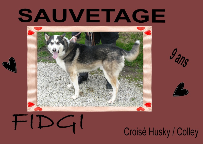 FIDJI type HUSKY 2001 dynamique gentil (m ) SAUVETAGE REFU50 Fidgi10