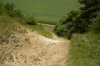 notre terrain  les marniéres Sg1l0112