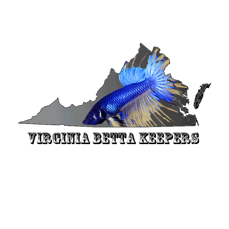 Virginia Betta Keepers