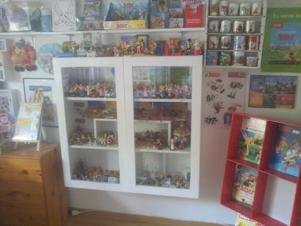 Ma collection Astérix Collec20