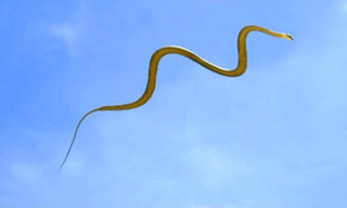 Le Symbole du Serpent Serpen10