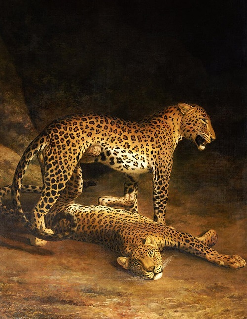 Dos leopardos tumbados-Laurent Agasse   Agasse11