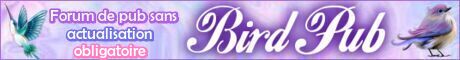 Bird Pub - Sans actualisation obligatoire Bird-p13