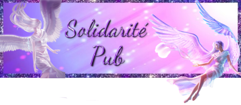 Boutons, bannières et fiche Pub de "Solidarité Pub" Hautde10