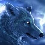 Les plus beaux avatars Loup-110