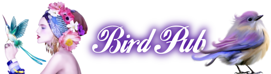 Bird Pub - Sans actualisation obligatoire Oiseau18