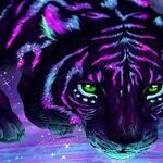 Liste d'avatars du forum - FÉLINS Tigre-10