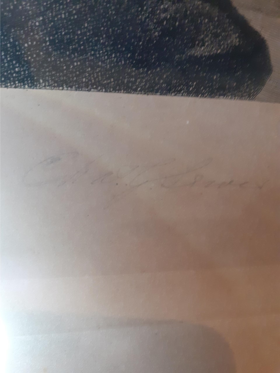 D'aprés Edwin Henry Landseer 1802-1873. C'est Ok. Est-ce une originale signée et attribué à Thomas Landseer ??? Thumbn29