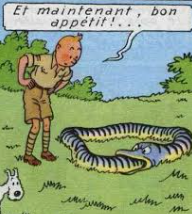 Erreur mtc ... - Page 2 Tintin11