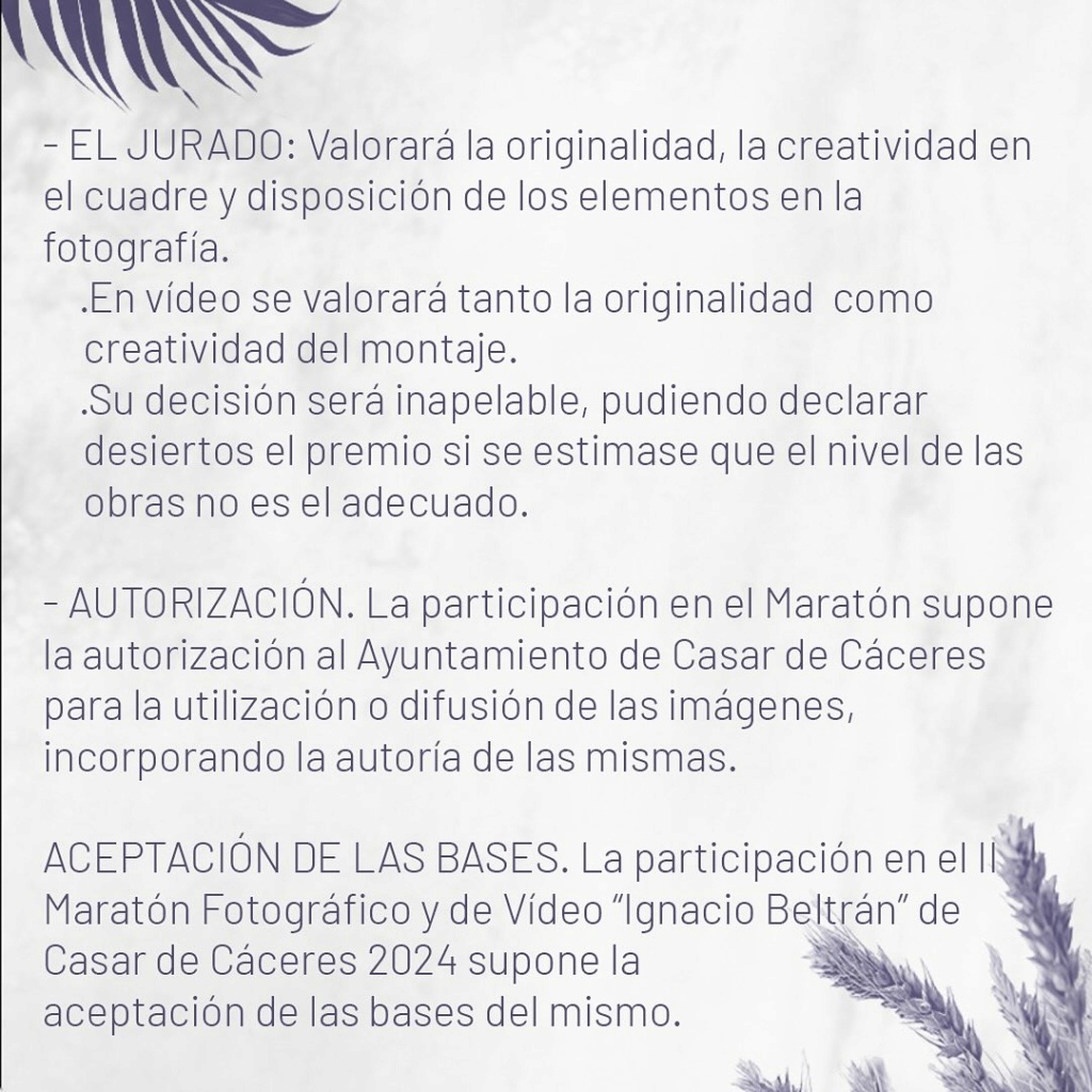 Concursos de Fotografía Marzo 2024 - Página 7 Beltra15