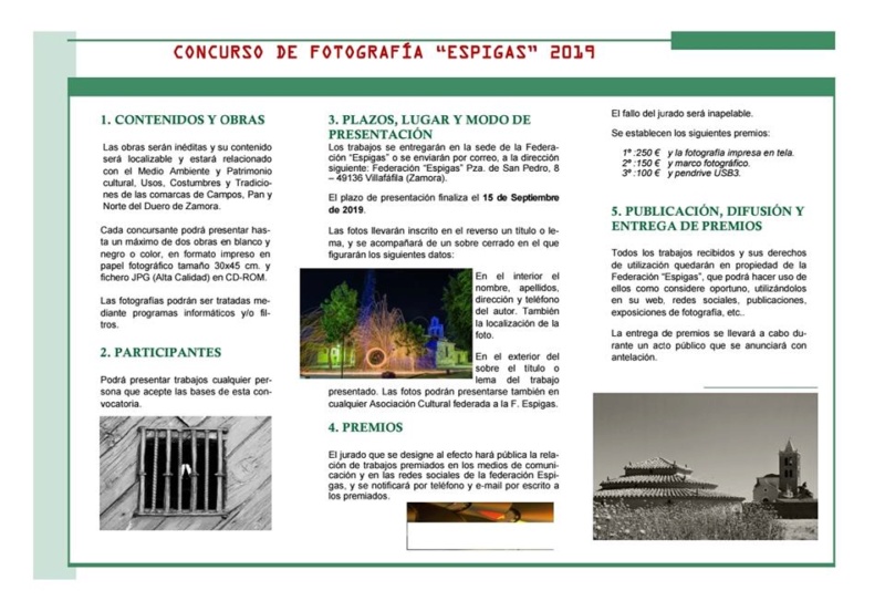 Concursos de Fotografía Septiembre 2019 - Página 2 Espiga10