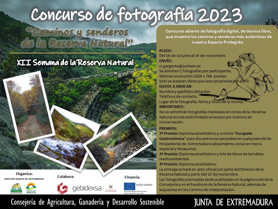 Concursos de Fotografía Noviembre 2023 - Página 9 Infier12