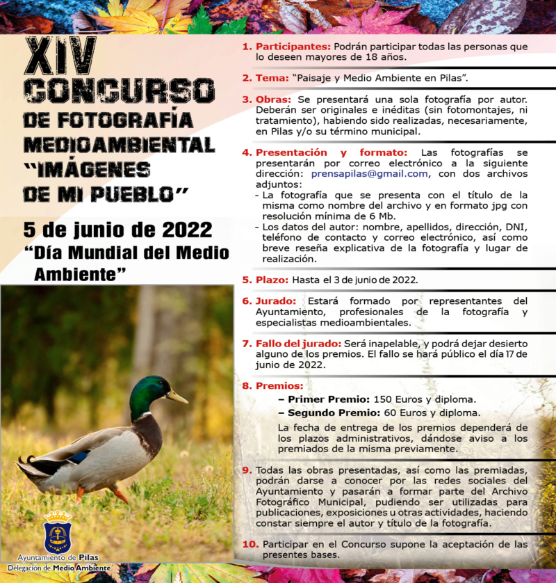 Concursos de Fotografía Junio 2022 - Página 3 Pilas_11