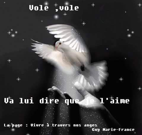 ADIEU MON CIRIUS D'AMOUR Fb_img24